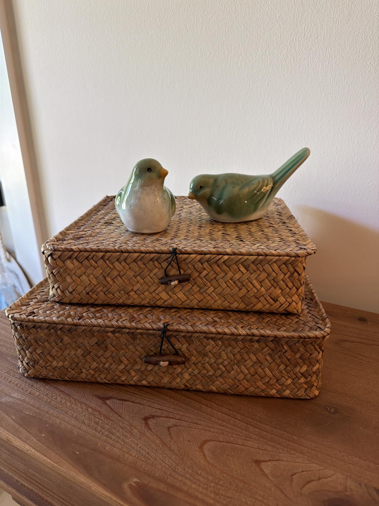 Hipiwe Set of 2 Flat Wicker Storage Basket Bins with Lid Woven Seagrass Box customer photo 1