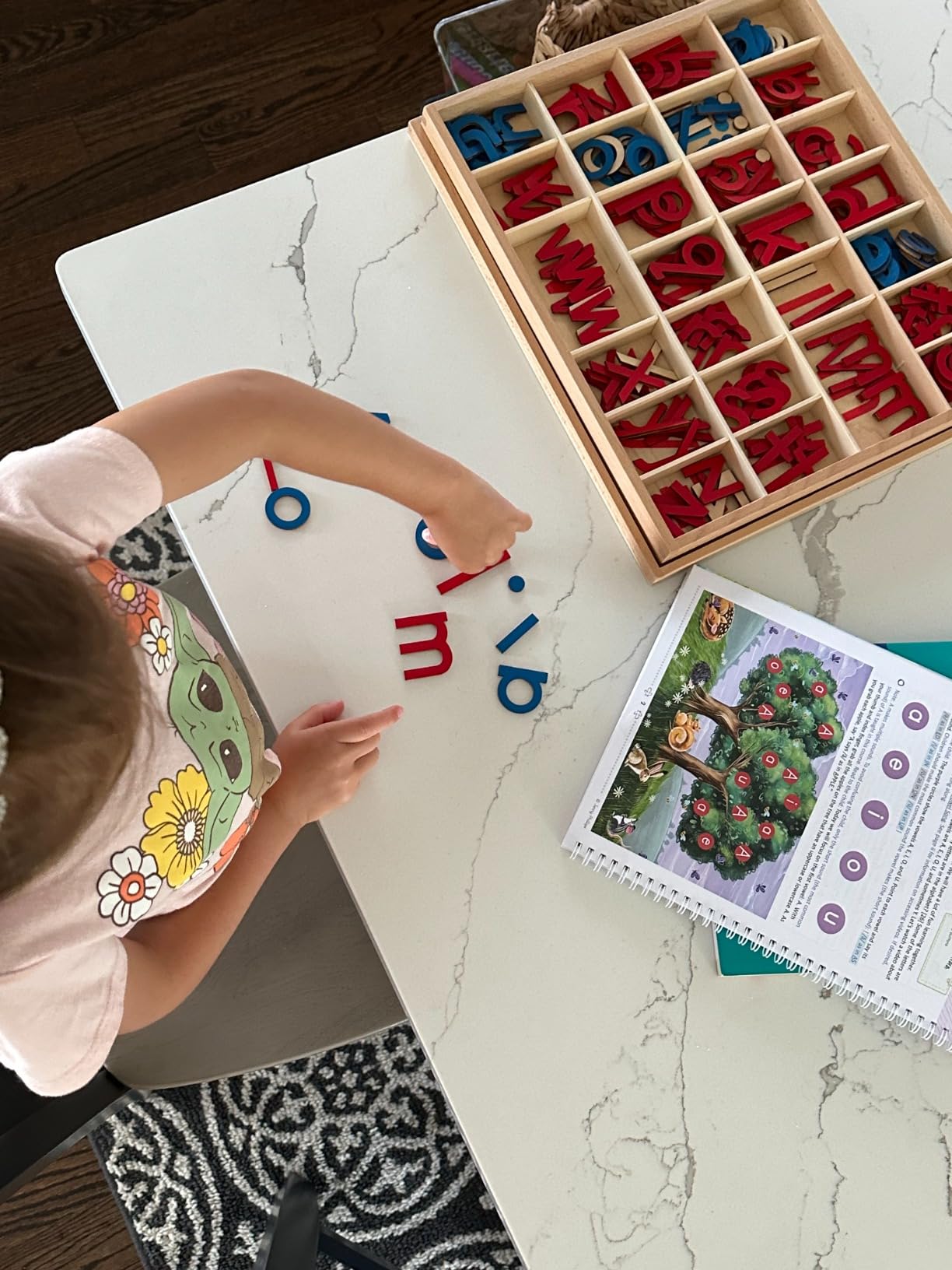 JE JOUE Montessori Letter Work Learning Materials Wooden Small moveable Alphabet Language Objects with Box (Red & Blue) customer photo 1