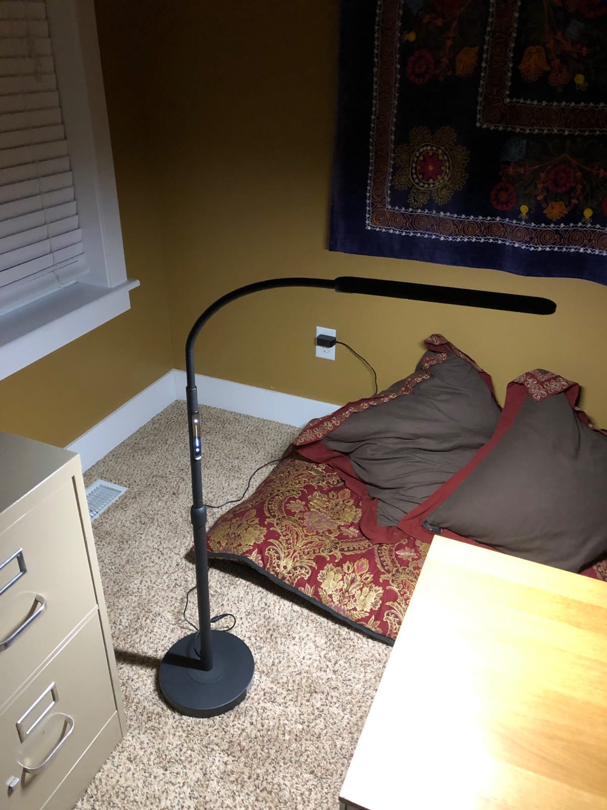 NXONE Led Floor Lamp,Modern Reading Adjustable Standing Height 4 Colors and Stepless Brightness Work Lamp for Living Room Bedroom Reading, Black customer photo 2