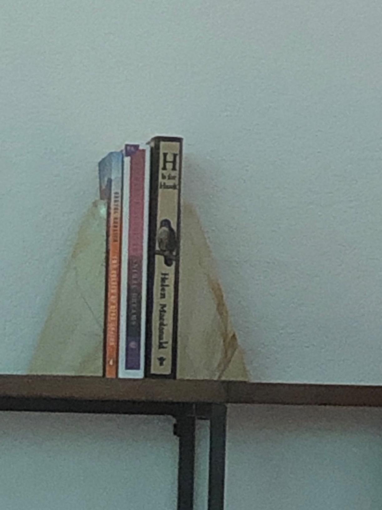 Bey-Berk White Triangular Onyx Marble Bookends - Heavy-Duty Wedge Design, Modern Office and Bookshelf Organizer customer photo 1