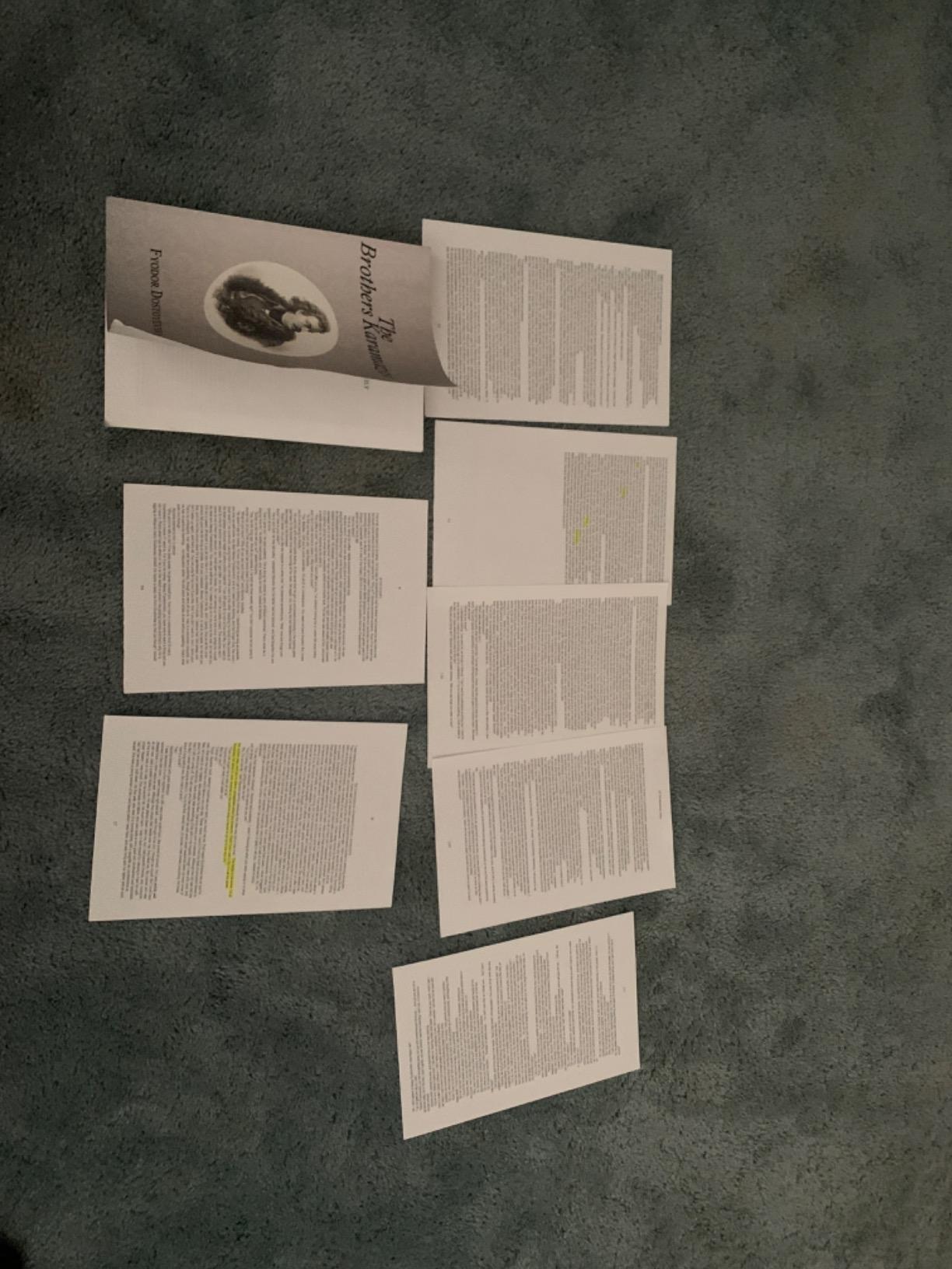 The Brothers Karamazov: Penguin Classics customer photo 2