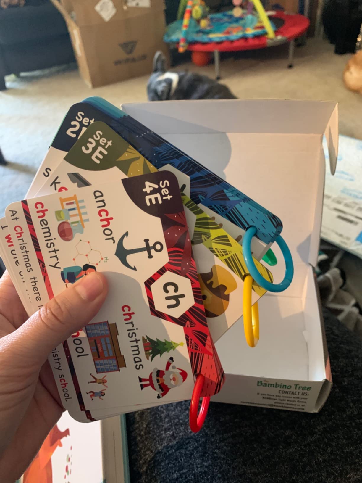 THE BAMBINO TREE Phonics Flash Cards customer photo 1