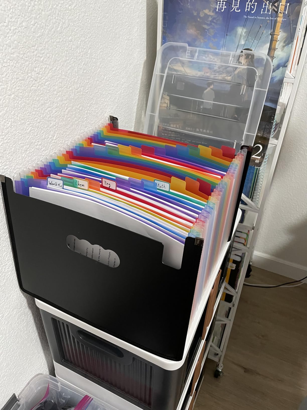 ThinkTex 26-Pocket Accordion File Organizer, Upright & Open Top customer photo 1