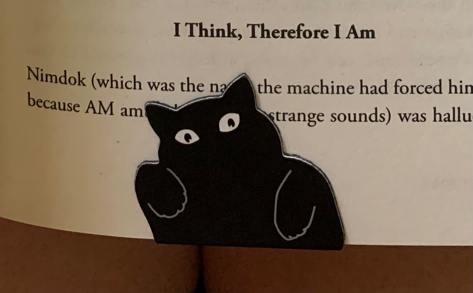 yasest Magnetic Bookmarks - 6 Pieces Assorted Cute Book Markers Clip Set for Women Teachers Students Book Lovers Reading, for School Office Home Supplies, Kawaii Cat Magnet Page Markers customer photo 2