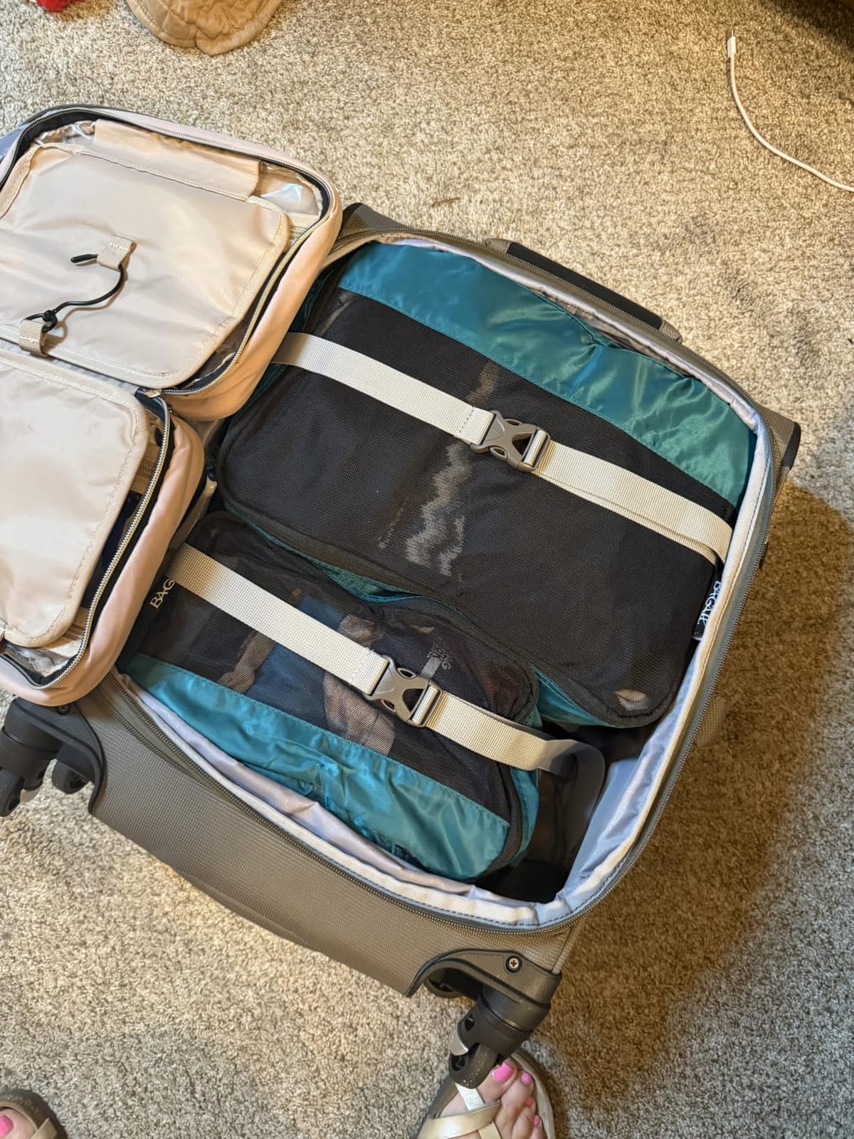 Travelpro Maxlite 5 Softside Carry-On Luggage Spinner, Orchid Pink, 21-Inch customer photo 1