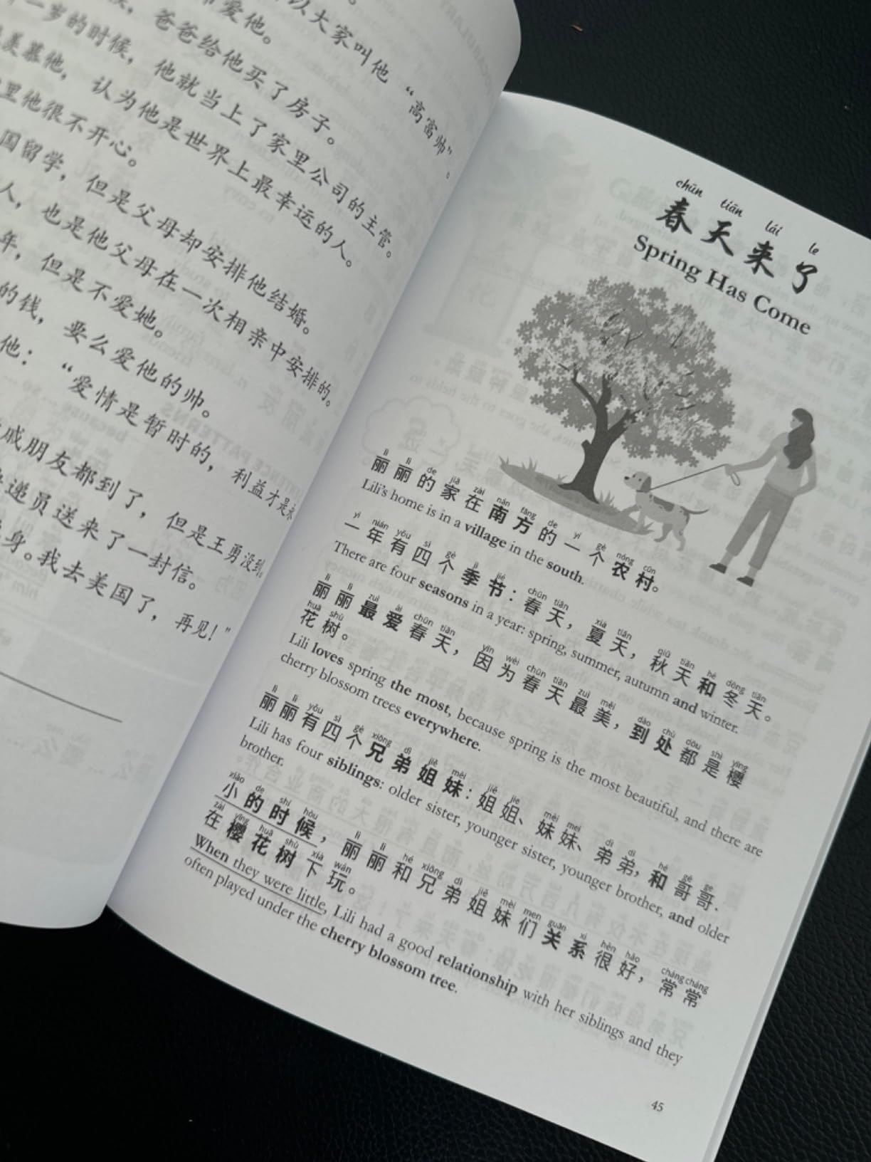Chinese Stories for Language Learners: Elementary (Free Audio) - Bilingual book of folktales, idioms, fables, proverbs, myths and modern fun stories (Chinese Story Series) customer photo 1