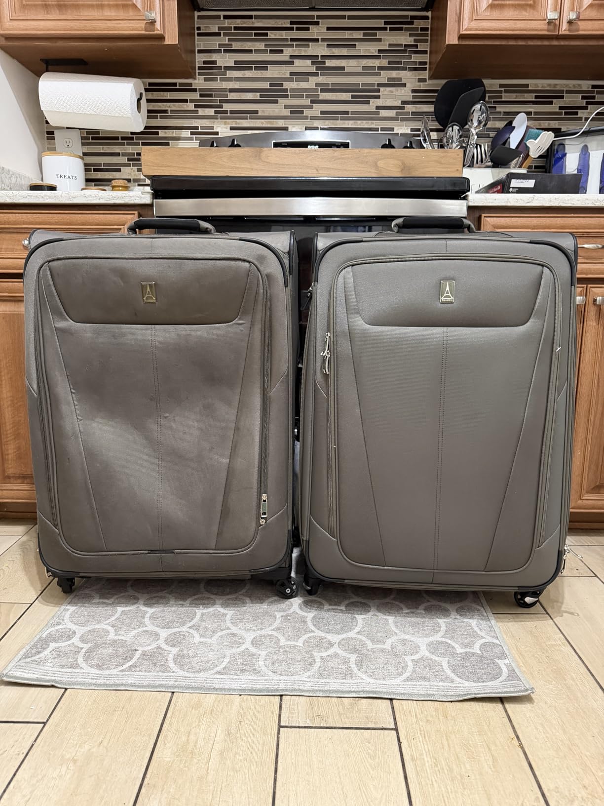 Travelpro Maxlite 5 Softside Carry-On Luggage Spinner, Black, 20-Inch customer photo 2