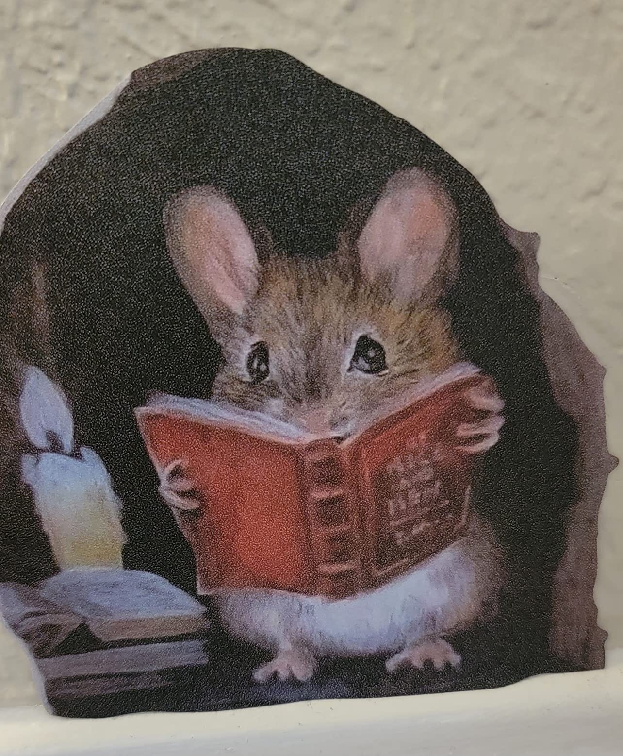 Mouse Reading Book, Wall Decor Sticker Decal, Kids Room, Classroom, Home, Bedroom, Bookcase, Book Lover, of Mice and Men, Children, Adorable, (Mouse Reading Book) customer photo 1