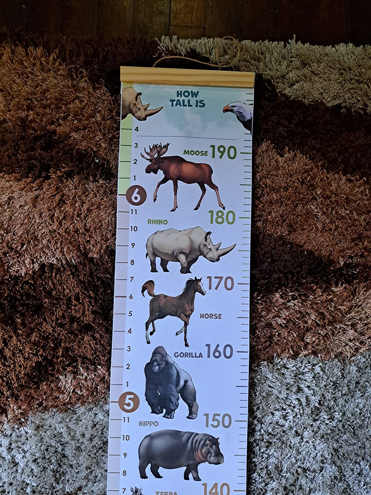 Personalised Growth Chart for Animal Lovers, Removable Wall Ruler for Boys and Girls, Kid’s Room Decoration (Multicolor) customer photo 2