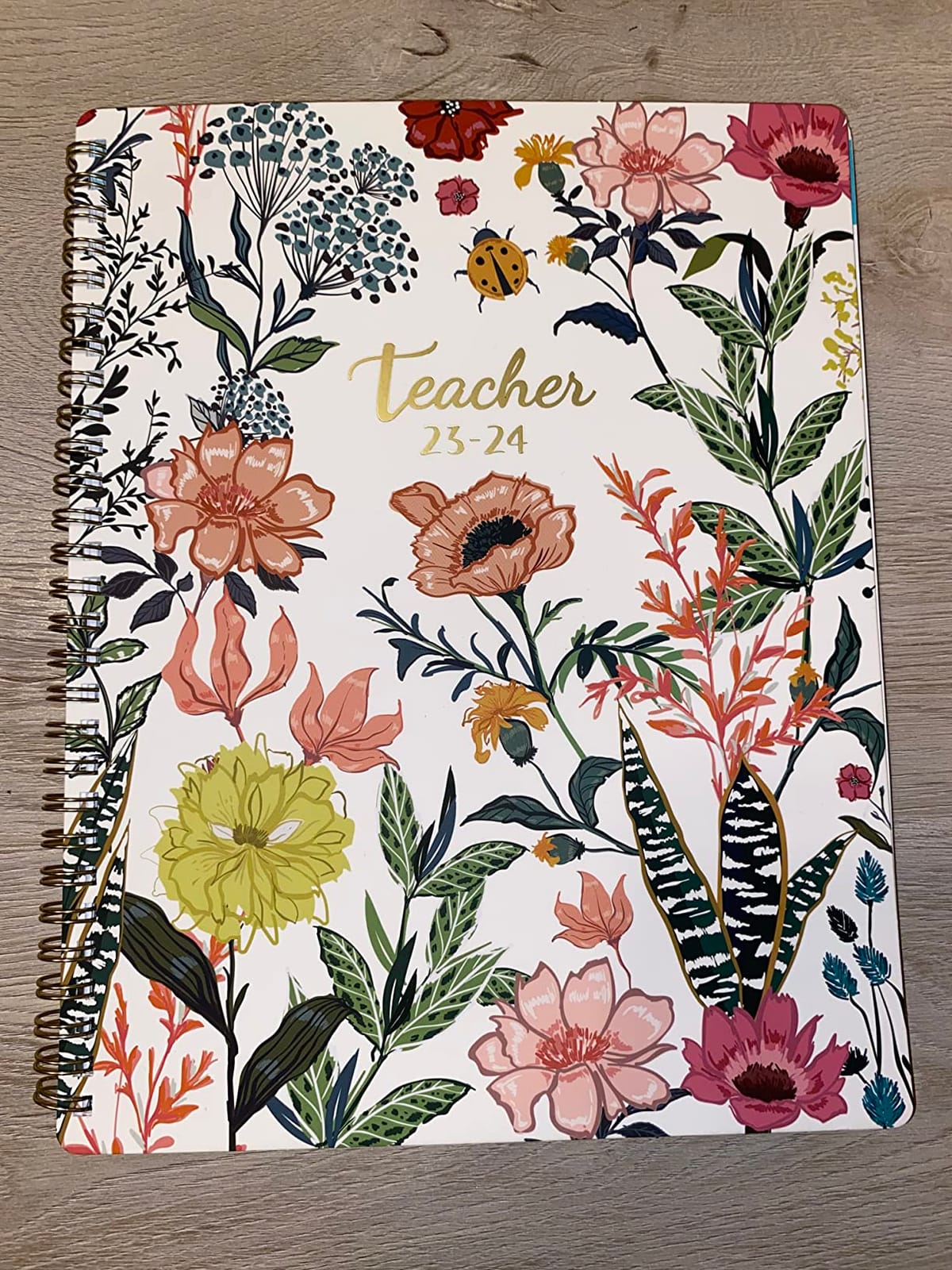 Teacher Planner 2026-2027 - Lesson Planner from Jul. 2026 - Jun. 2027, 8.5'' x 11'', Lesson Plan Book, Weekly and Monthly Homeschool Planner, Academic Planner 2026-2027 with Inspirational Quotes customer photo 2