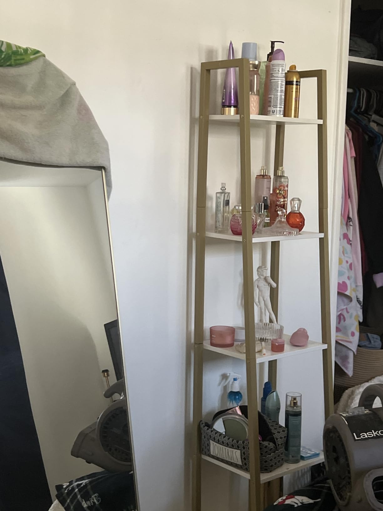 Hzuaneri Ladder Shelf, Bookshelf, Freestanding Corner Storage Shelf customer photo 2