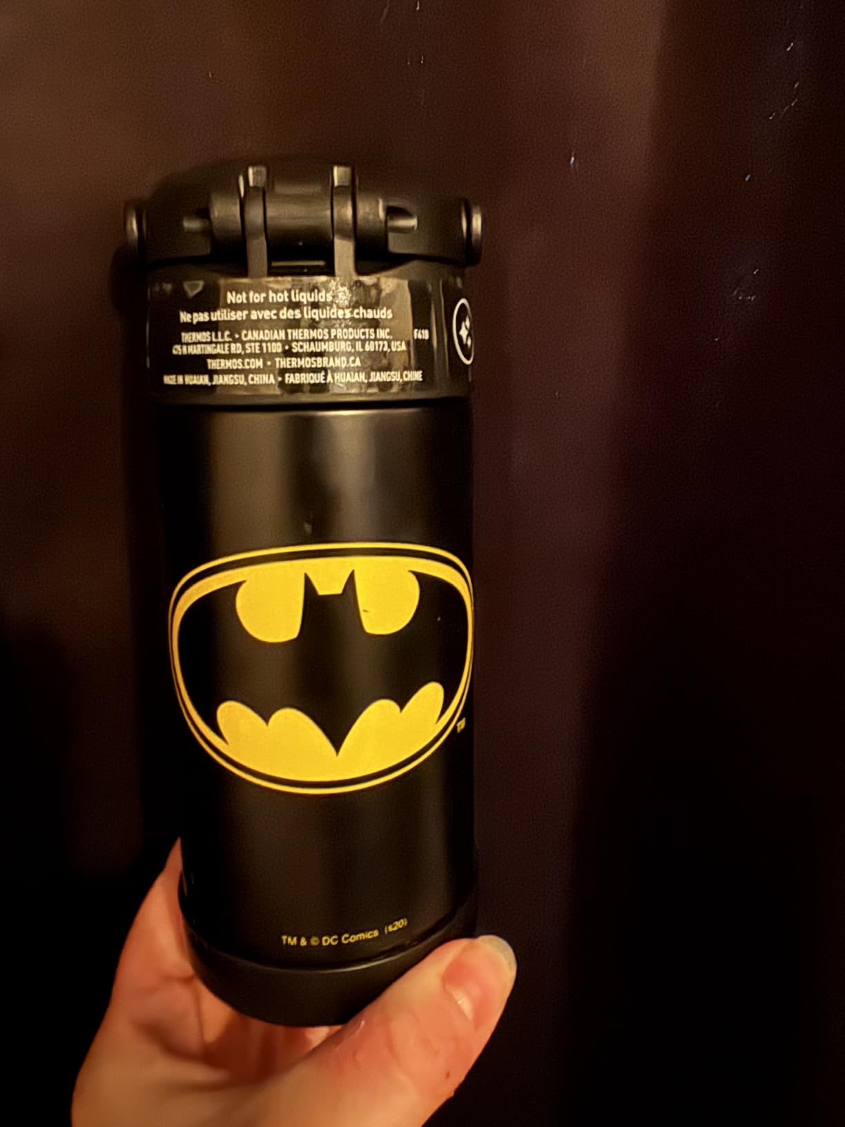 THERMOS FUNTAINER Water Bottle with Straw, 12oz, Bluey customer photo 2