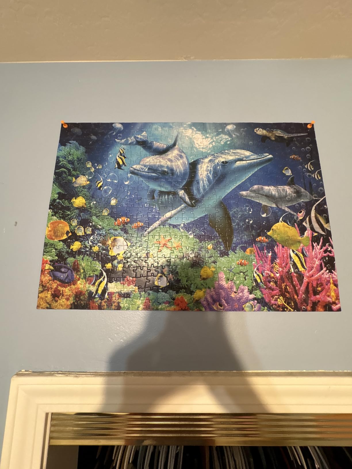 Jigsaw Puzzles 1000 Pieces,Sea Animals Puzzles for Adults 1000 Pieces customer photo 1
