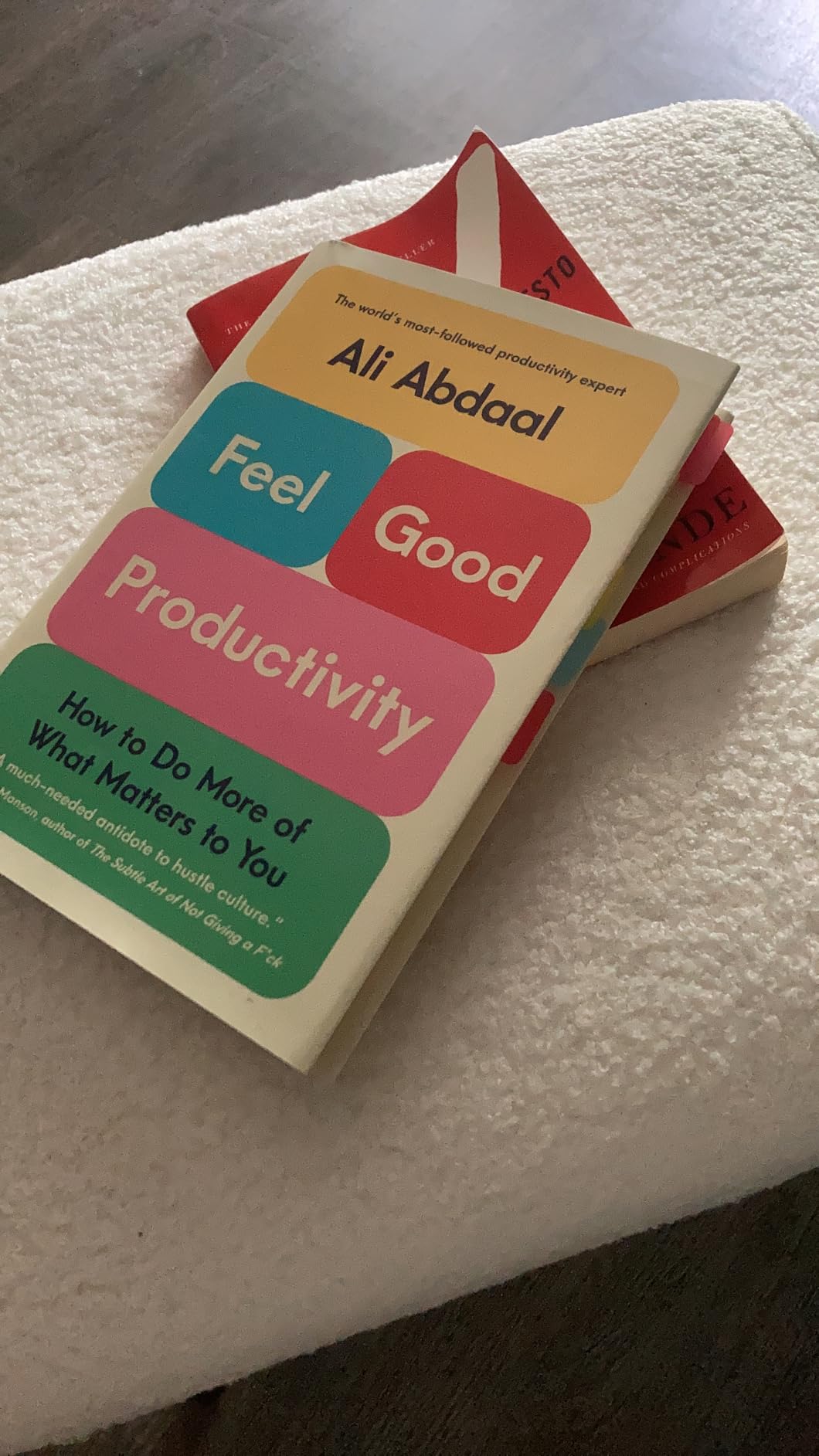 Feel-Good Productivity: How to Do More of What Matters to You customer photo 2