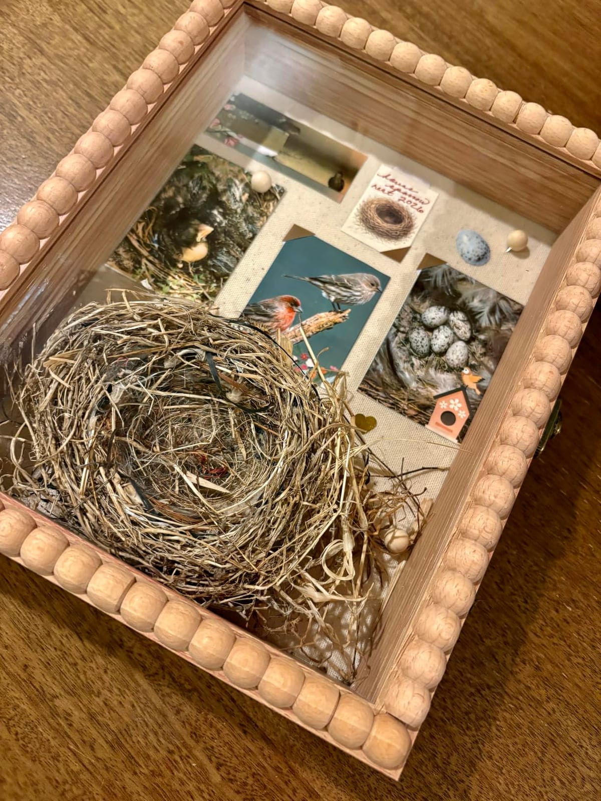 Love-KANKEI 11x14 Deep Shadow Box Frame,Unique Solid Wood Beads Frame,White customer photo 2
