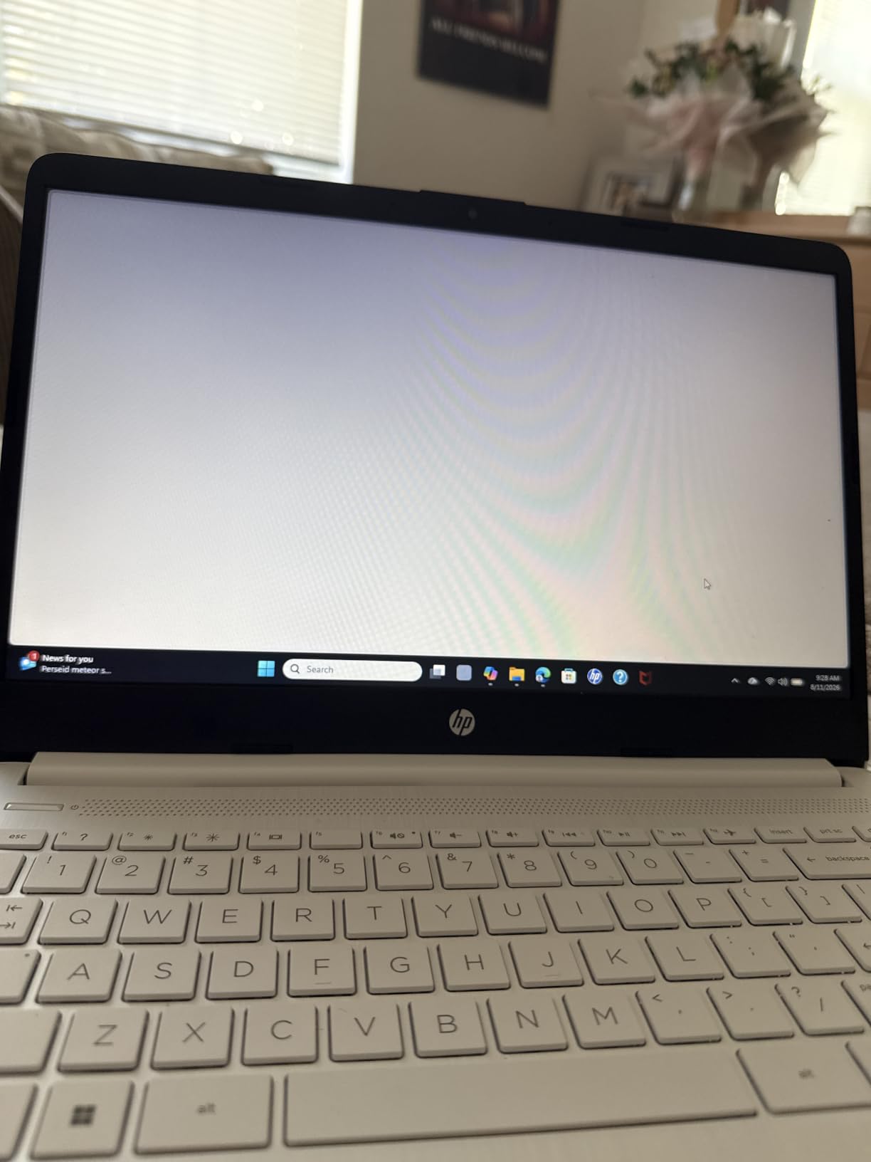 HP 14