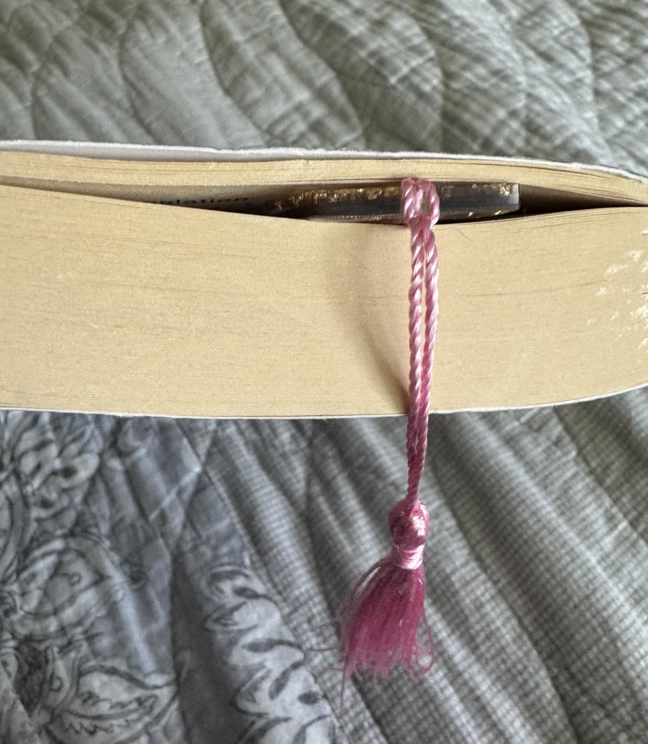 Book Page Holder, Kaluofan 2PCS Thumb Book Page Holder, Book Accessories for Reading Lovers, Handmade Dried Flower Book Opener Holder Thumb, Meaningful Gifts for Book Lovers Teachers Students customer photo 2