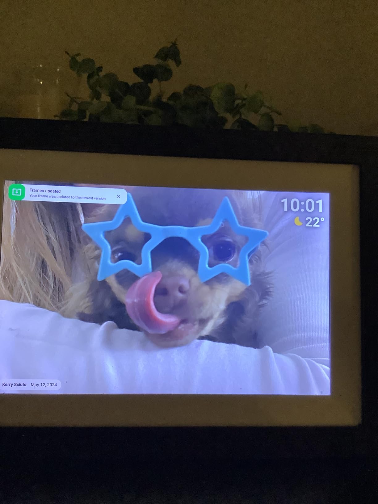 10.1 inch Smart WiFi Digital Picture Frame-Load from Phone Capability customer photo 2