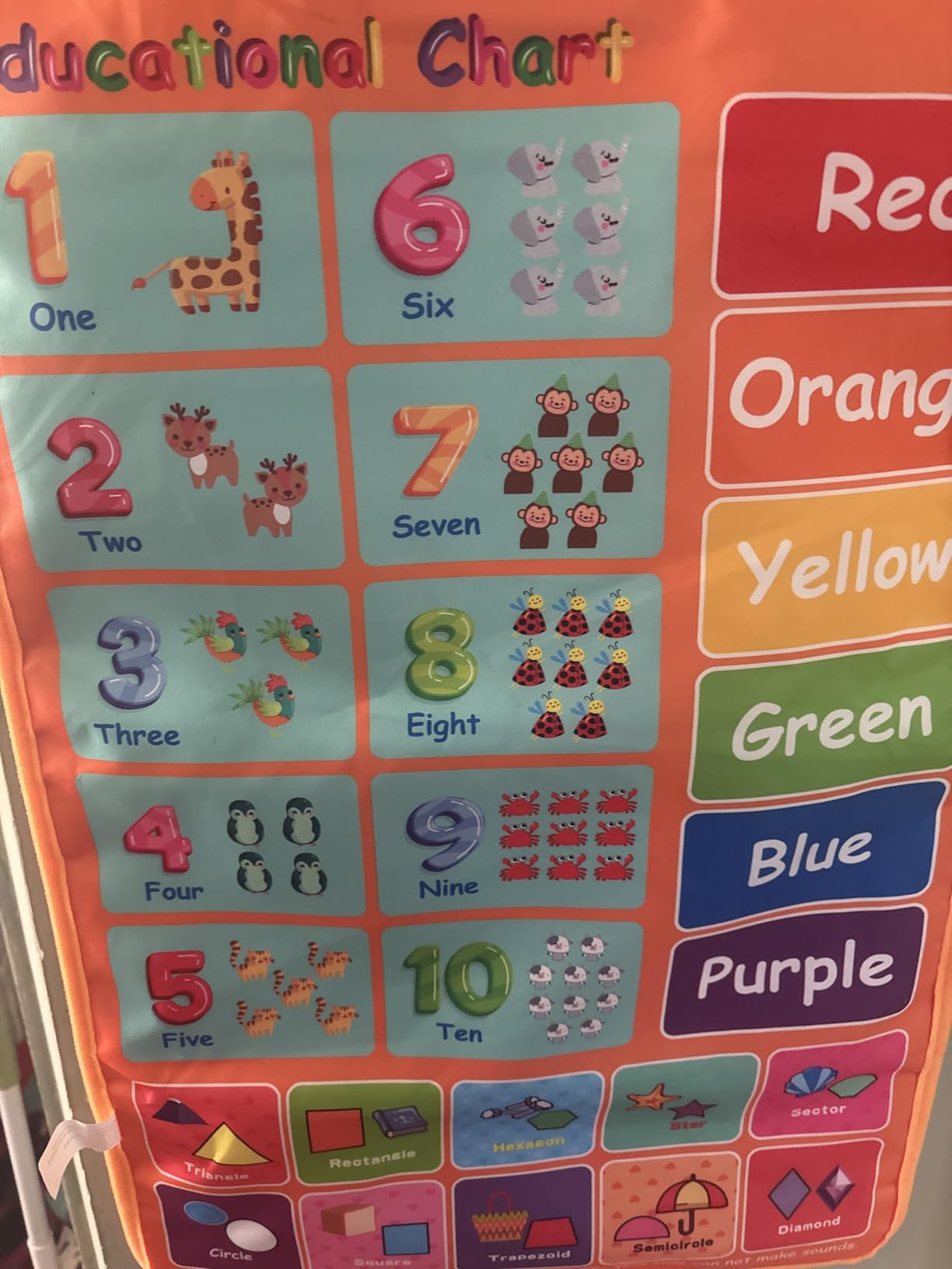 Electronic Alphabet Wall Chart, Kids Learning Toys for Toddlers 1-3 - Blue customer photo 2