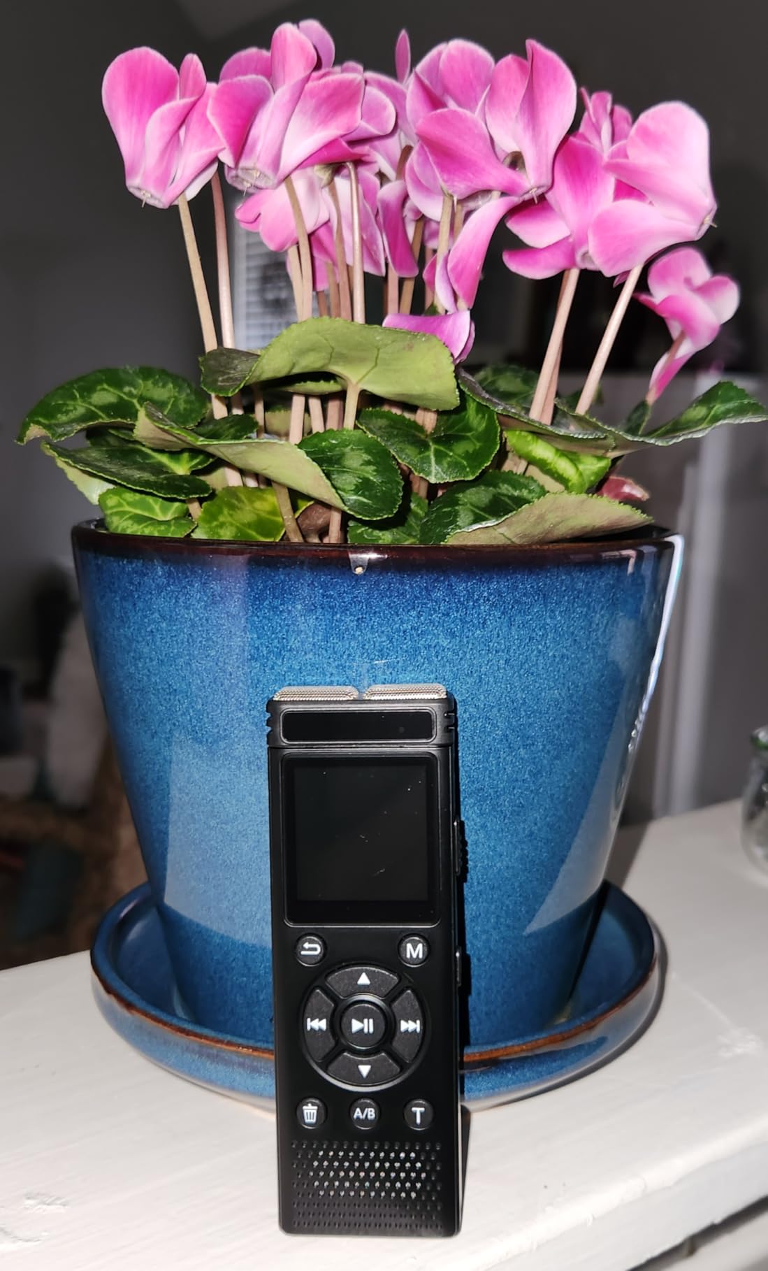 Tonfarb 136GB Digital Voice Recorder with Playback,9775 Hours Audio Record customer photo 1