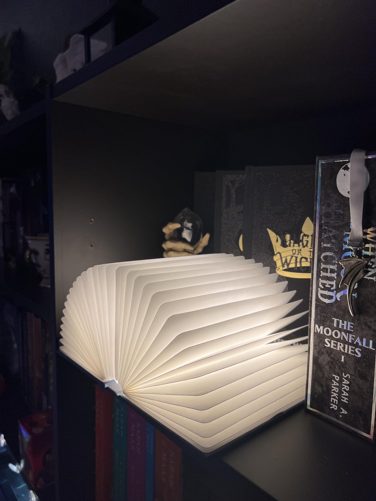 Uniwolk Book Lovers Gifts BookLamp - 5 Color Lights, 1200mah Battery, Foldable Paper Lamp as Book Decor & Accessories, Hot Foil Cover Design, Unique Gifts for Women or Friends & Christmas customer photo 1