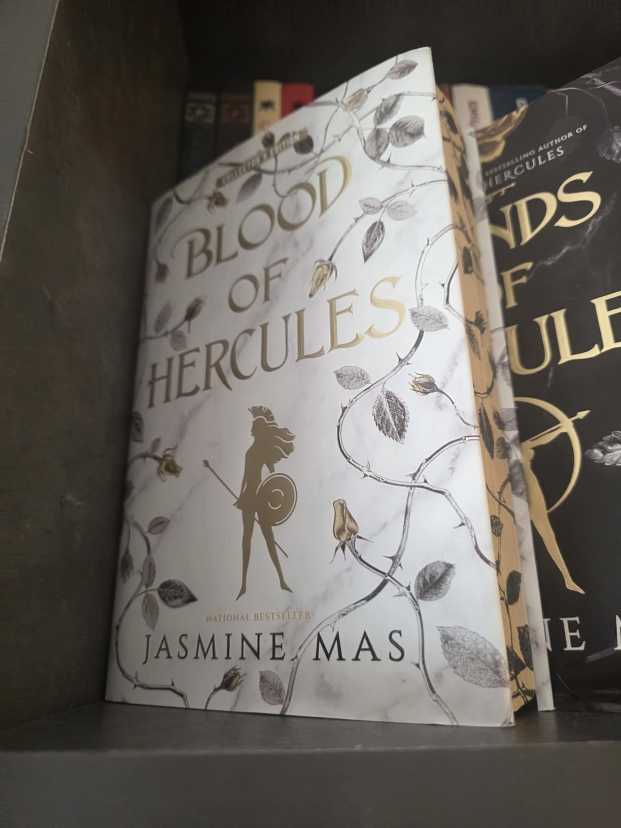 Blood of Hercules: Villains of Lore, Book 1 customer photo 1
