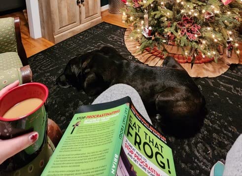 Eat That Frog!, Fourth Edition: 21 Great Ways to Stop Procrastinating and Get More Done in Less Time customer photo 1
