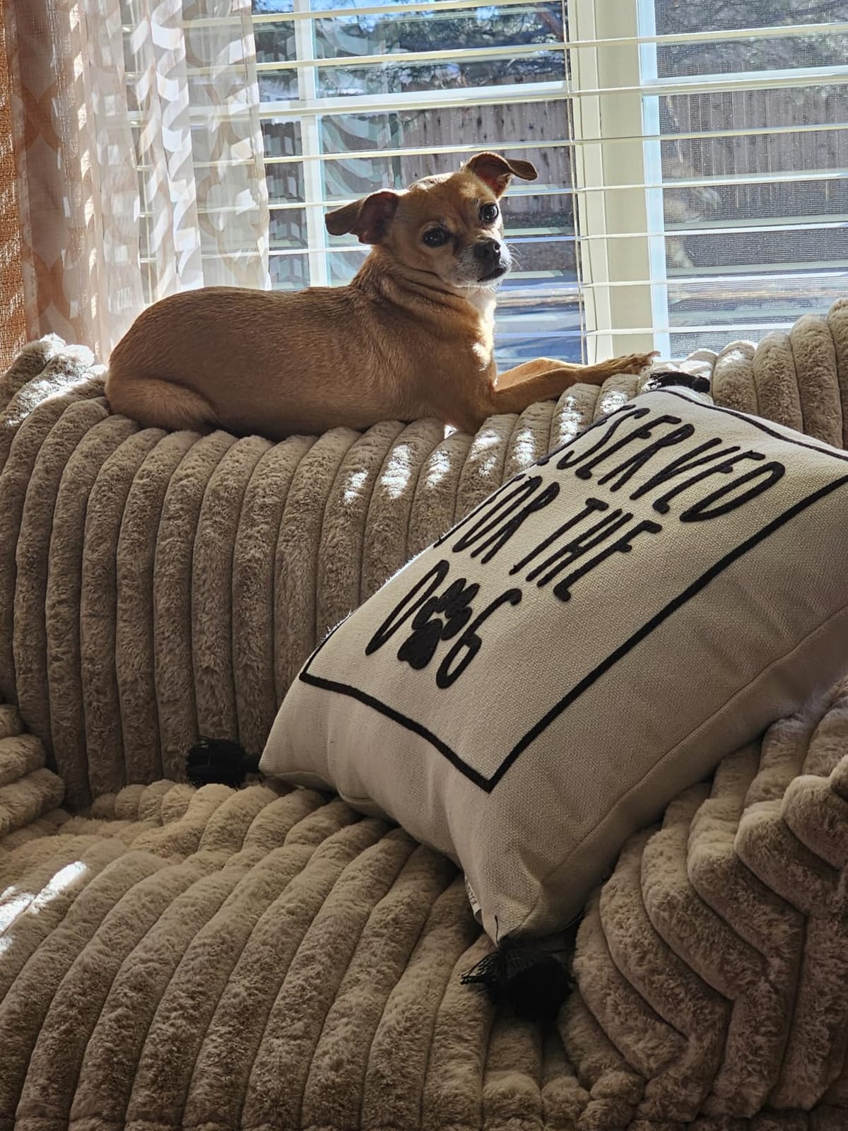 Giant Plush Bean Bag Chair for Adults with Armrests - Oversized Comfy Beige Beanbag Lounge Lazy Floor Sofa Accent Chair for Living Room, Bedroom & Dorm, Cozy Fluffy Single Cloud Mini Couch customer photo 1