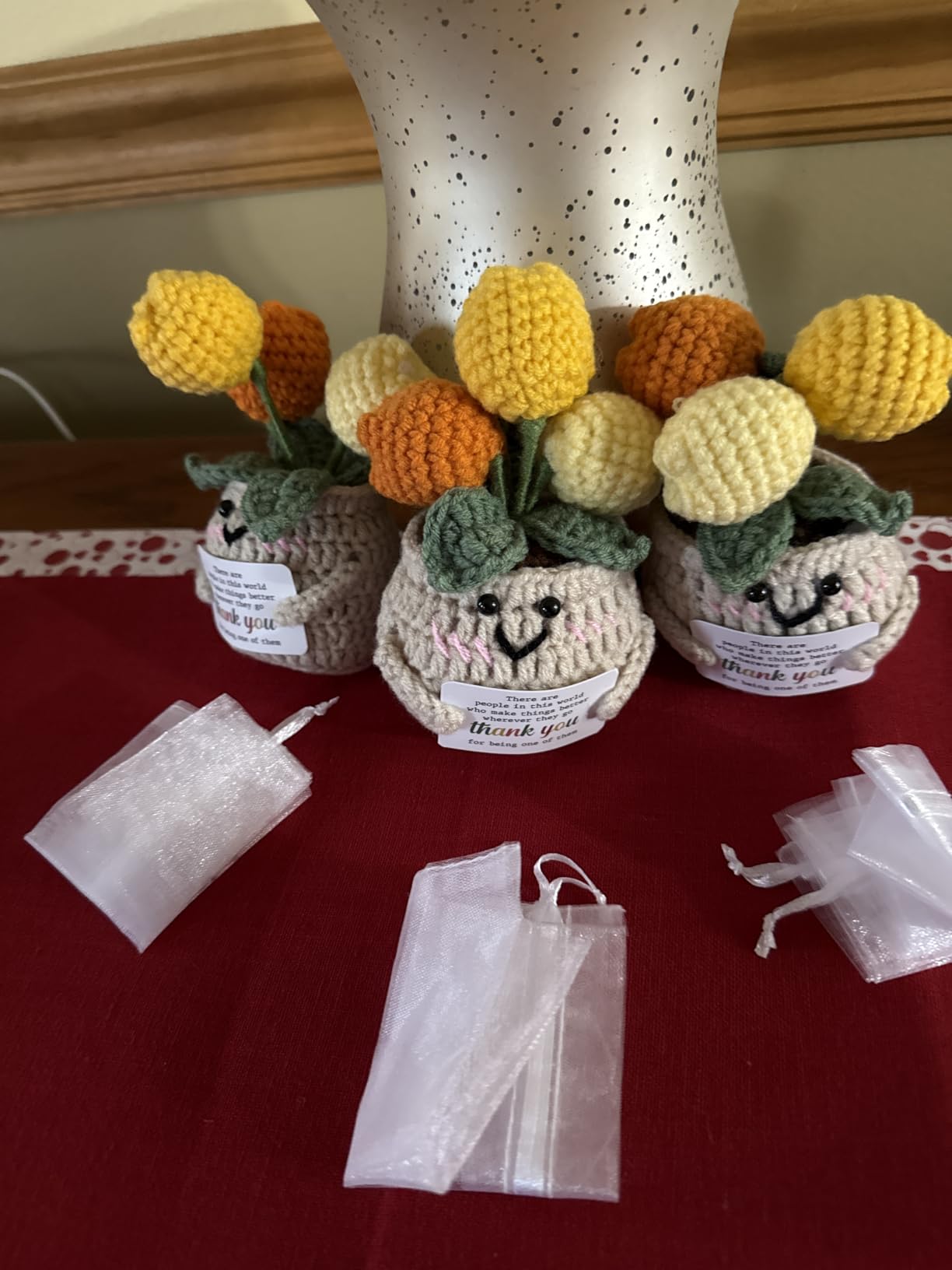OASSIE Teacher Gifts for Women Men - Positive Crochet Tulip, Back to School customer photo 1