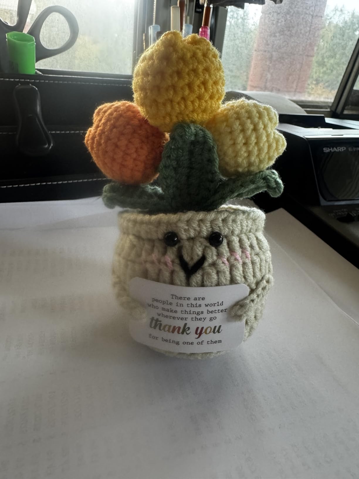 OASSIE Teacher Gifts for Women Men - Positive Crochet Tulip, Back to School customer photo 2