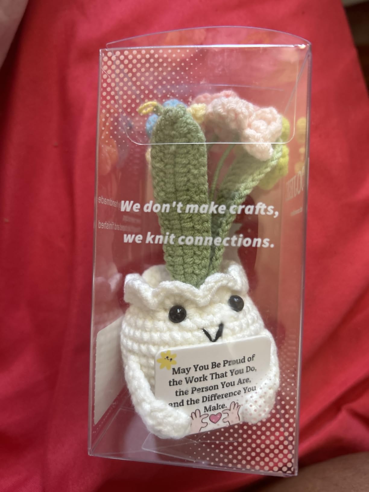 Forget-Me-Not Crochet Flower Potted Plant Gift customer photo 1