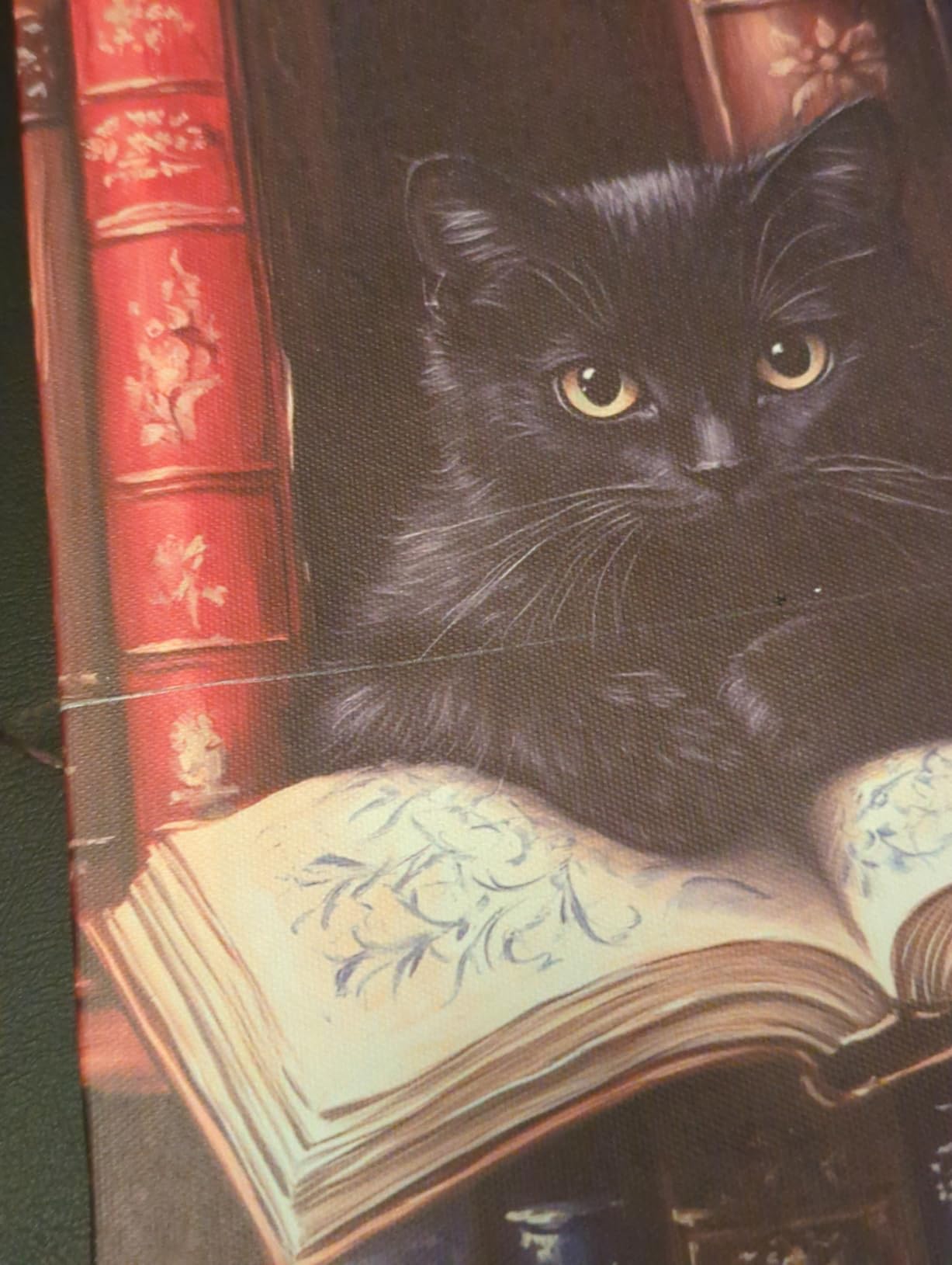 Vintage Cat Books Canvas Wall Art Bookshelf Cat Print Poster Framed Picture Painting for Home Reading Room Library Wall Decor 8x10 Inch customer photo 2