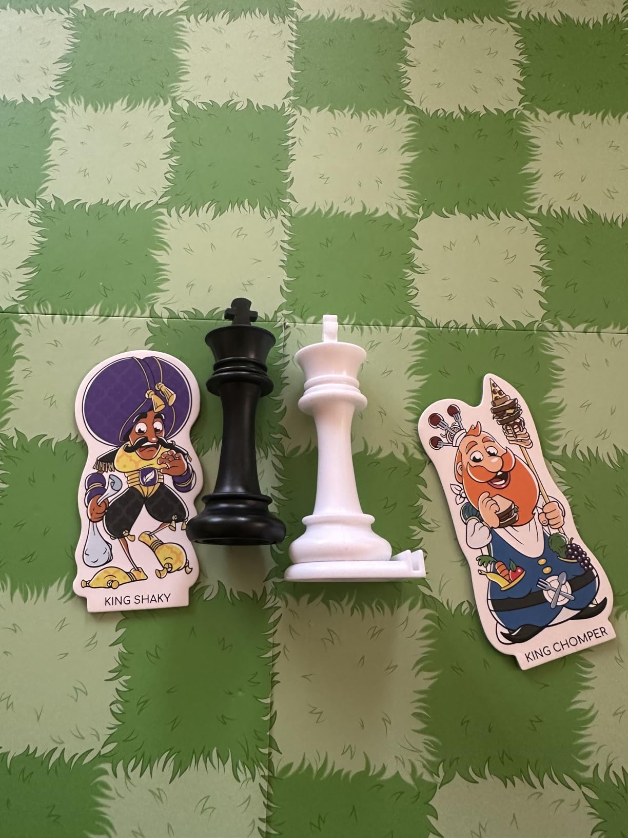 Story Time Chess Set for Kids - Family Game Night, Strategic Game Play - Board Games for Family Night - Perfect for Beginners, Learn Chess with a Fun Story - Preschool Toys, Ages 3+ customer photo 2